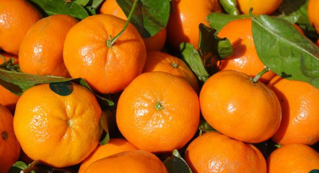La bevanda a base di clementine: arriva dalla Calabria Clemì