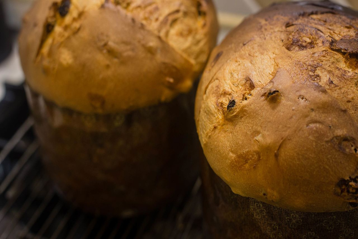 Panettone Salato