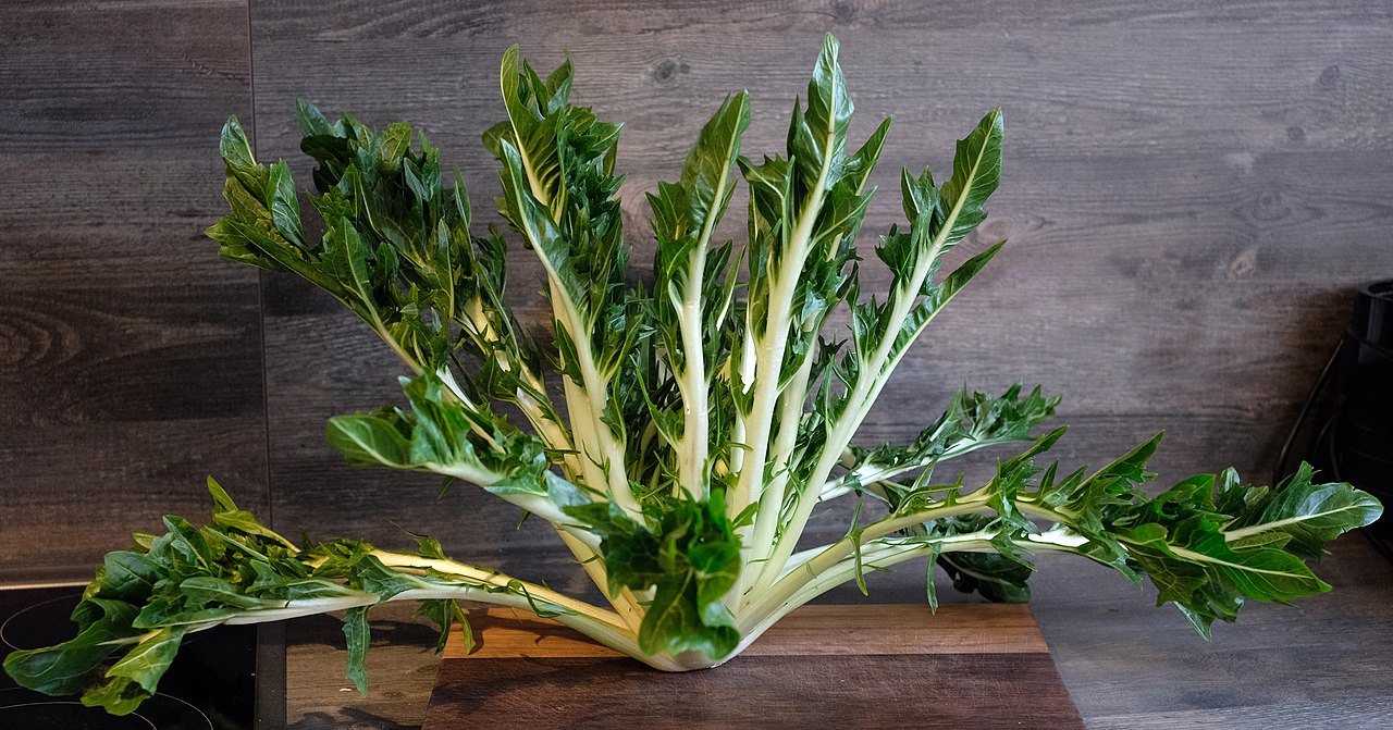 Insalata Puntarelle