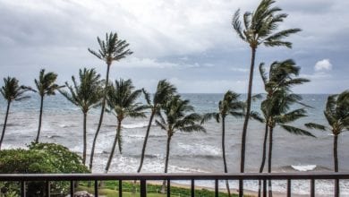 Tempeste Tropicali