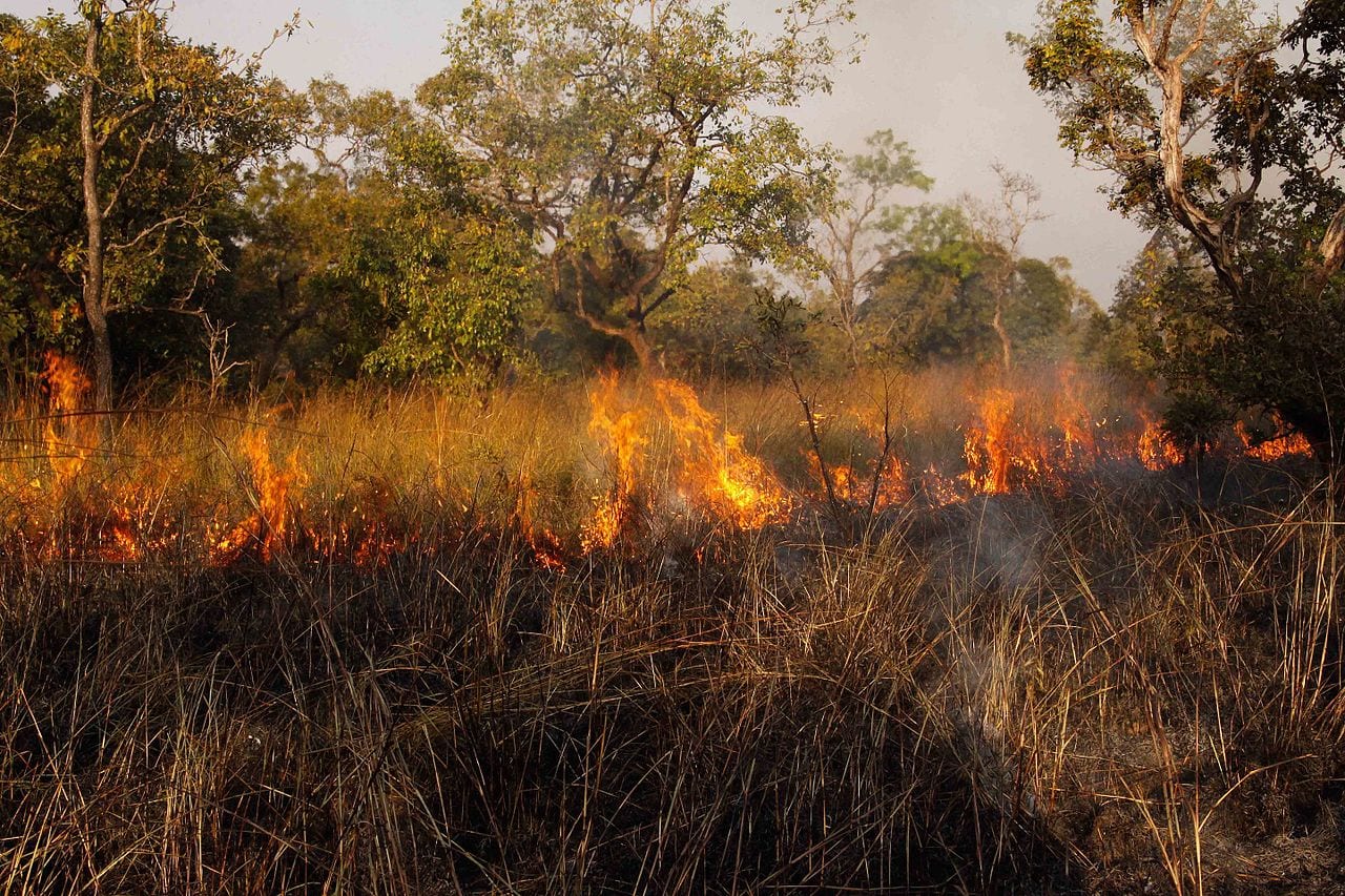 Incendi Azoto