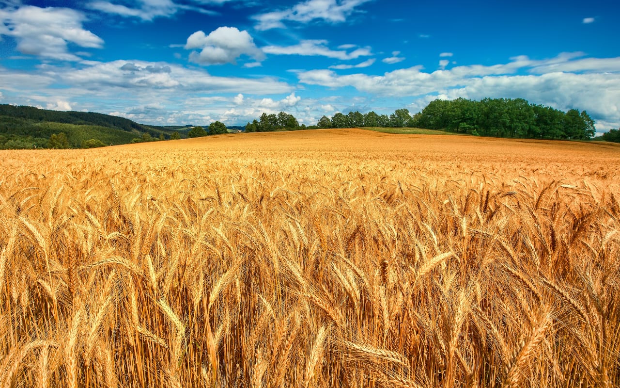 Agricoltura Pesticidi Tracce