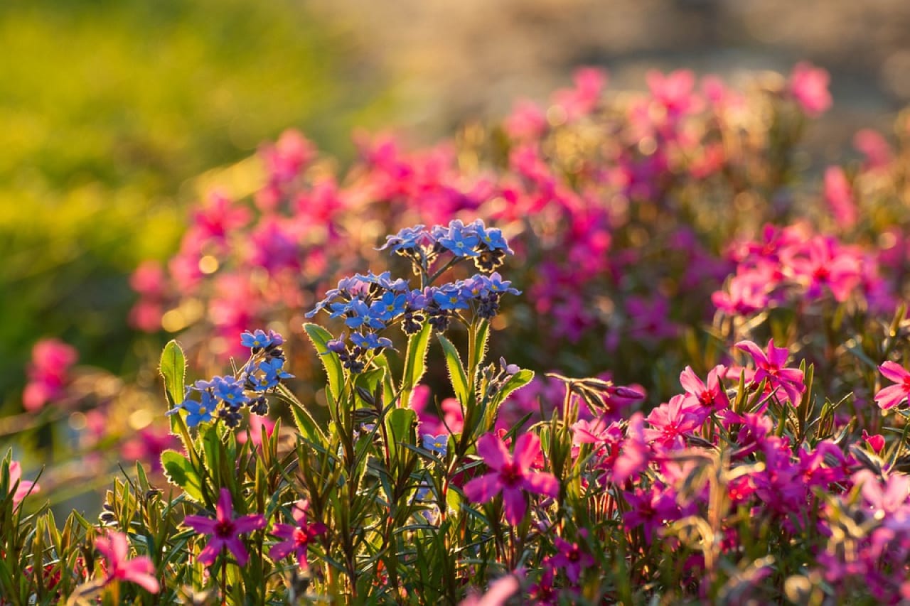 Equinozio Primavera