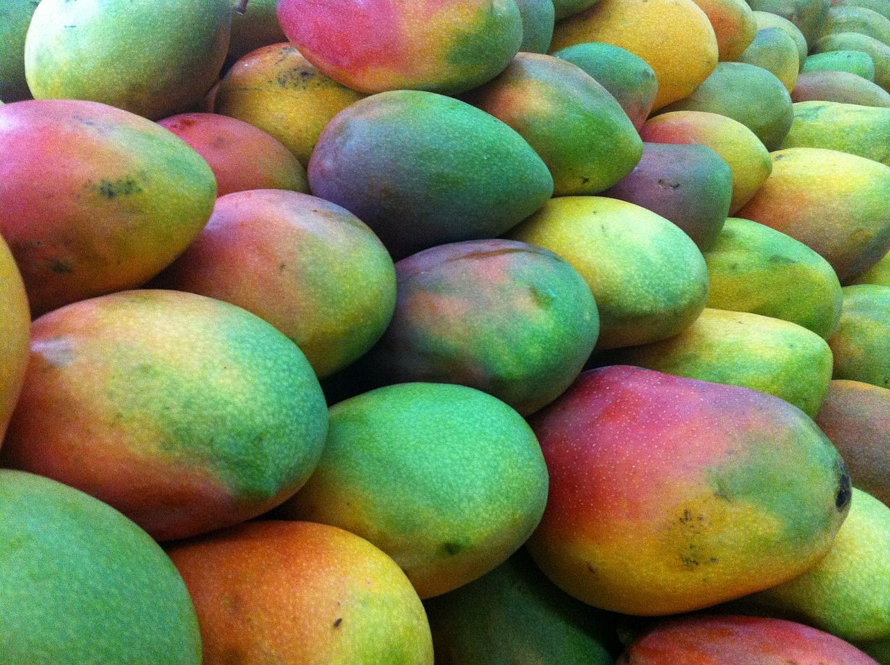 Maschera Mango