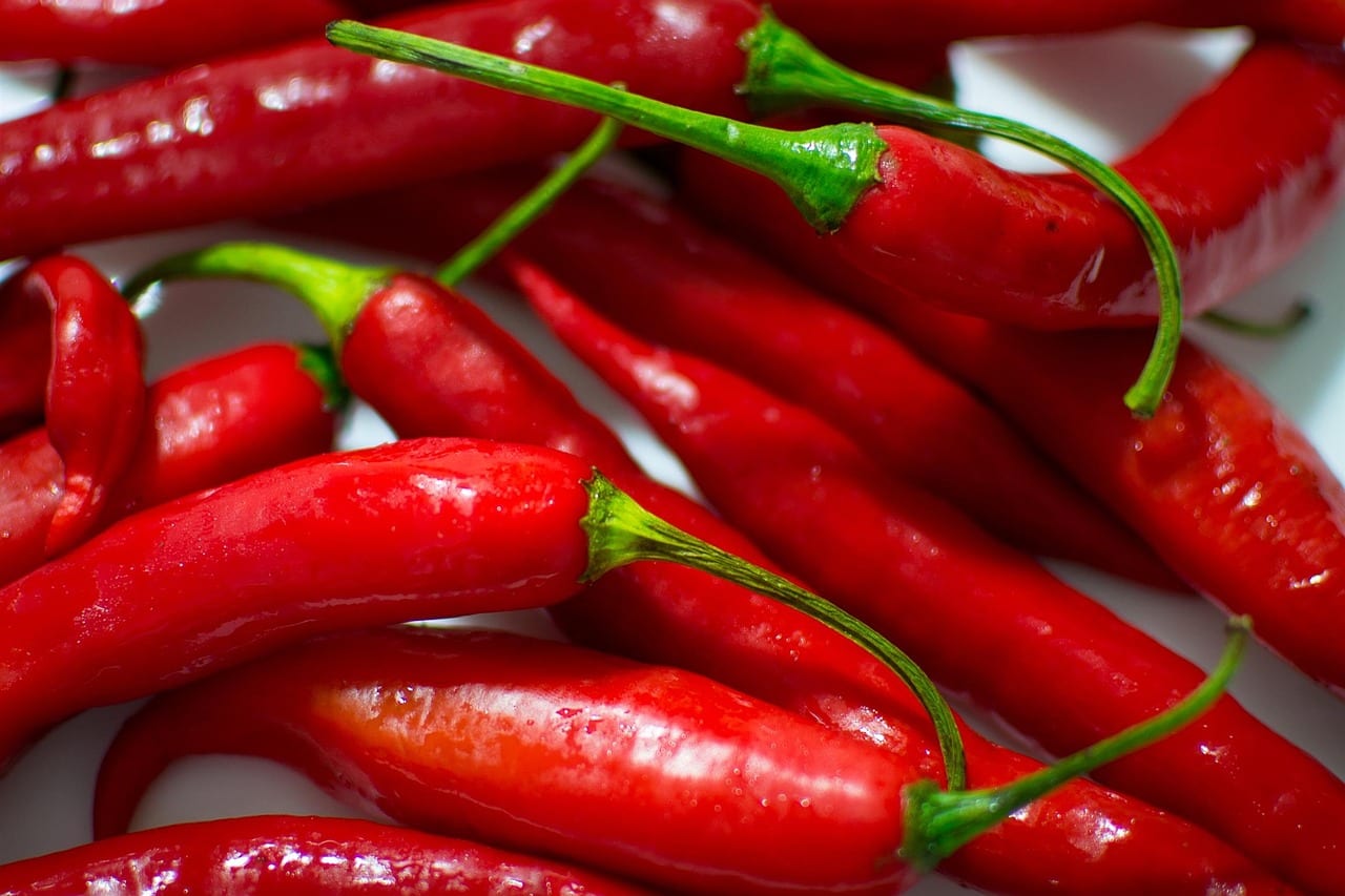 Peperoncino Metabolismo