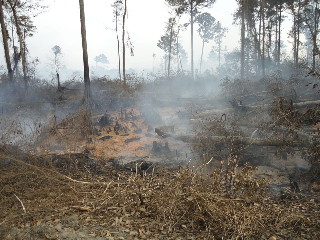 Incendi Fantasma