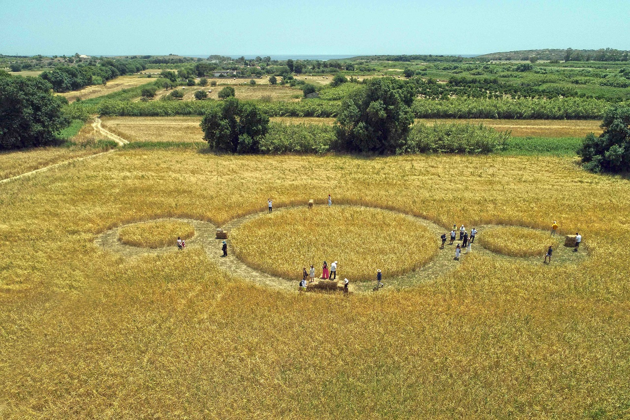 AVASIM ricerca agroalimentare antiche sementi