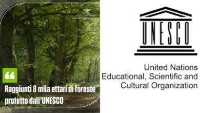 Foresta Patrimonio Unesco