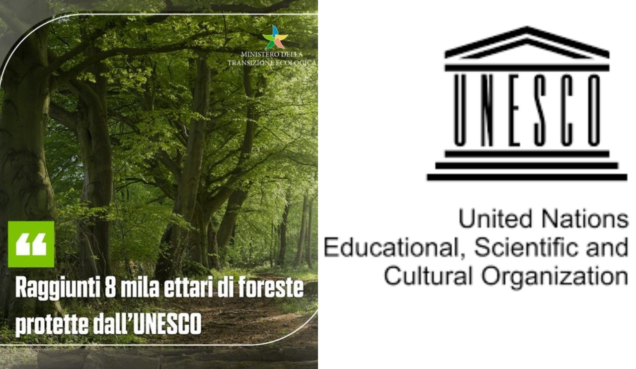 Foresta Patrimonio Unesco