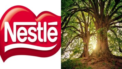 Nestlé strategia sostenibile deforestazione