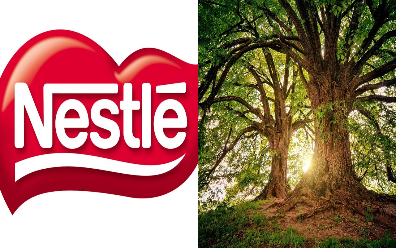 Nestlé strategia sostenibile deforestazione