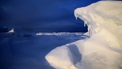 pioggia calotta glaciale Groenlandia