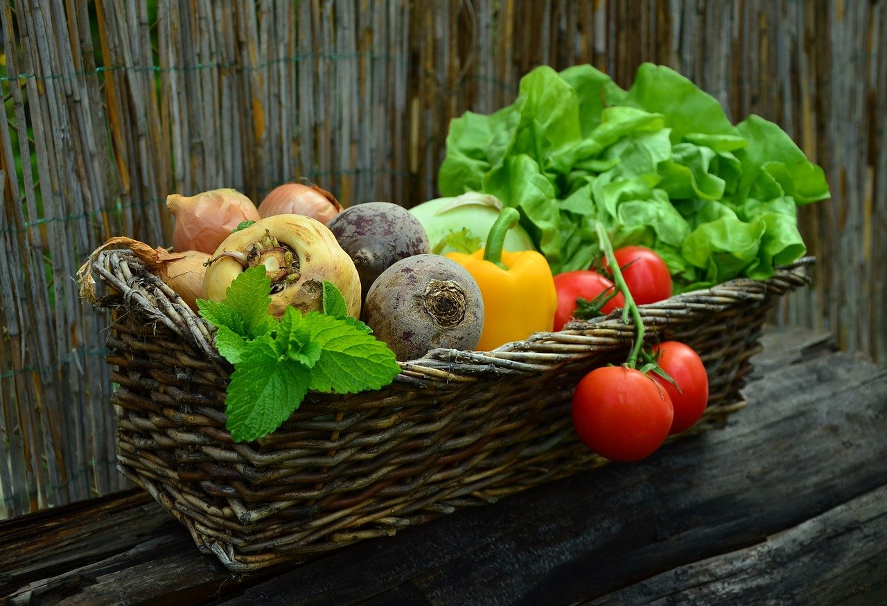 Giornata Internazionale Consapevolezza sugli Sprechi e Perdita Alimentari