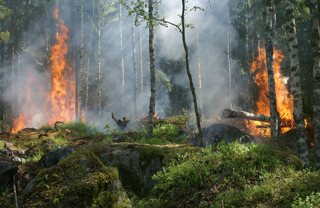 incendi decreto legge