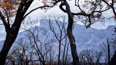 Australia adolescenti denunciano Governo inazione Clima