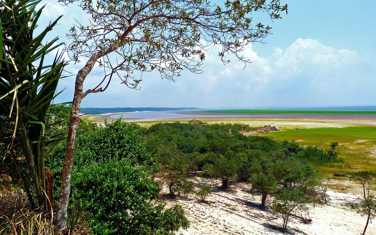 foresta pluviale tropicale