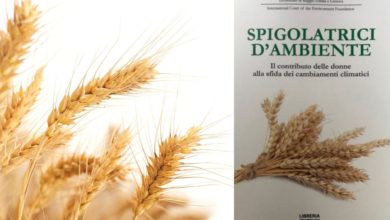 Spigolatrici d'ambiente libro