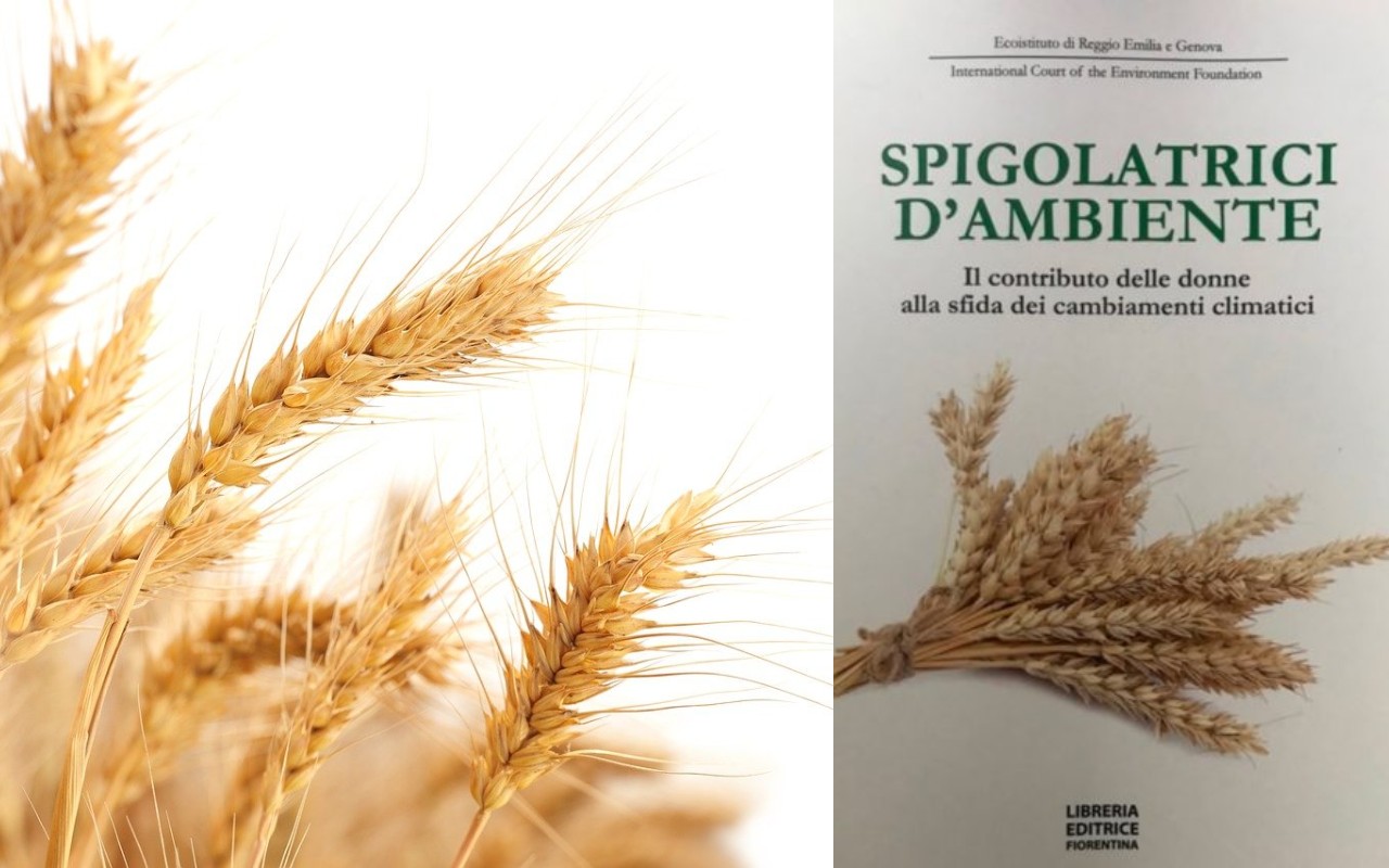 Spigolatrici d'ambiente libro