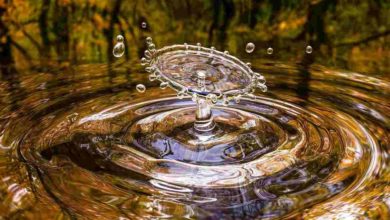 Giornata Mondiale Acqua