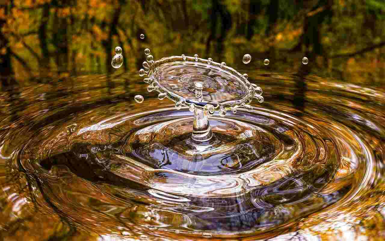 Giornata Mondiale Acqua