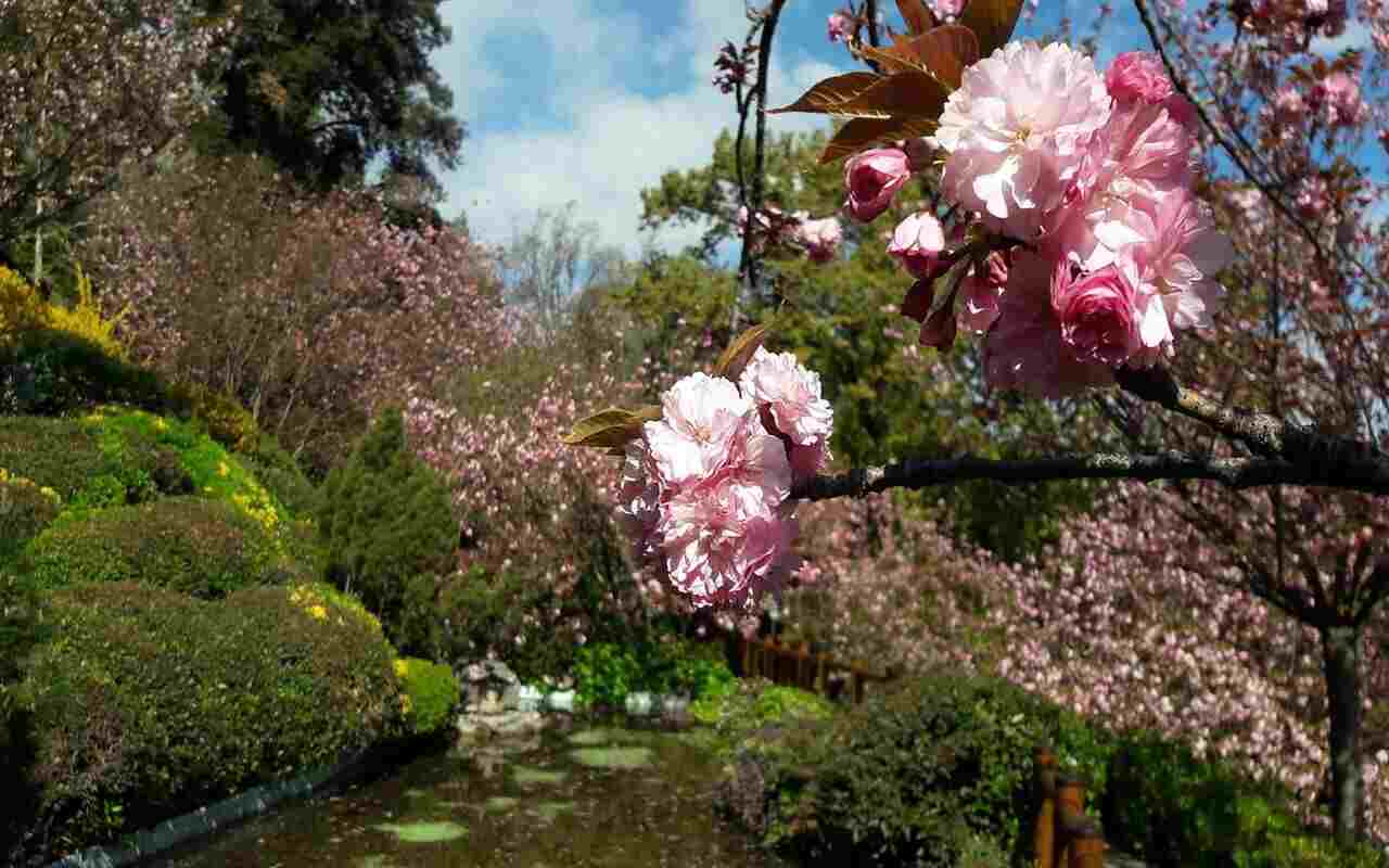 Era di Maggio Orto Botanico Roma