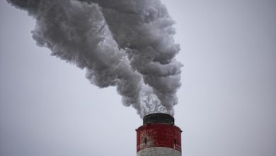 Inquinamento aria Italia