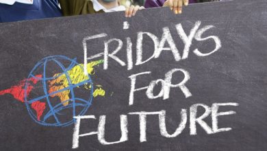 elezioni Fridays for Future