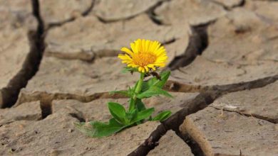 Parco Nazionale deserto più arido del mondo