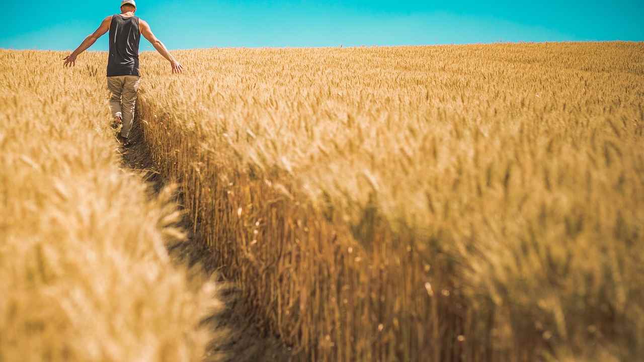 agricoltura Italia rischio caldo