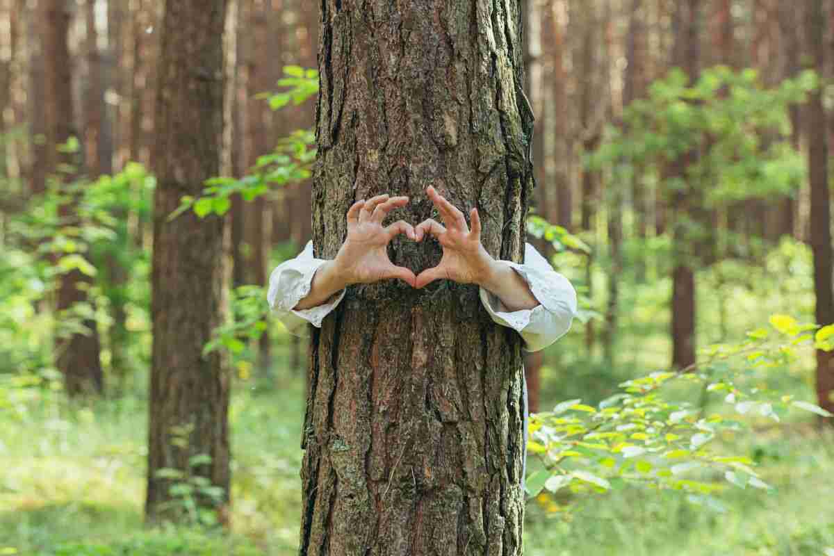 San Valentino idee sostenibili