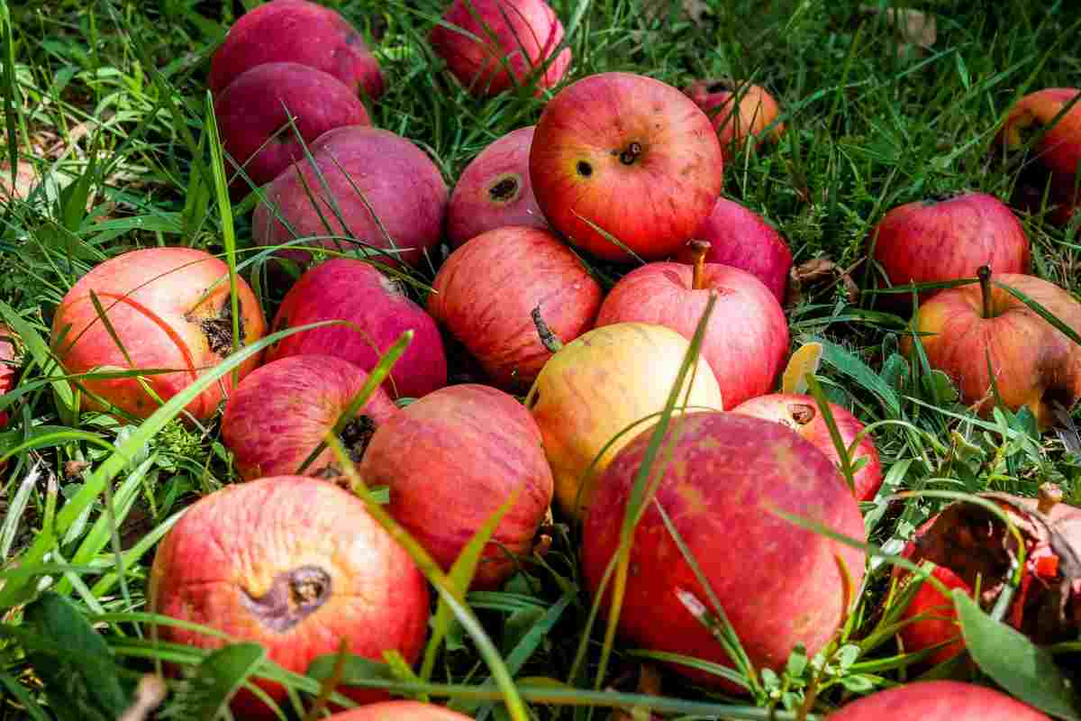 Giornata Nazionale per la Prevenzione dello Spreco Alimentare