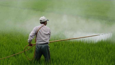 Pesticidi in Europa