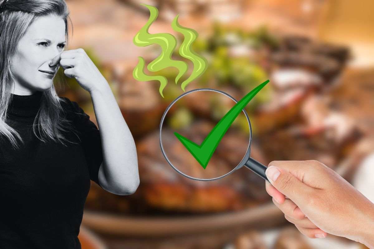 Carne, come accorgersi quando è avariata grazie alla vita e al tatto
