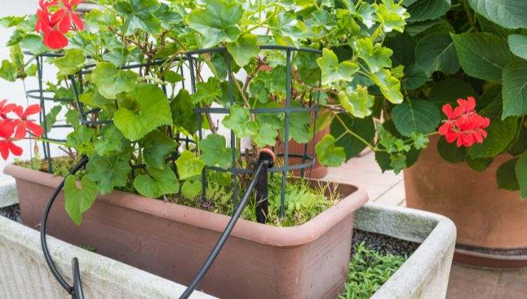 Gli impianti d'irrigazione per balconi sono in kit facili da installare