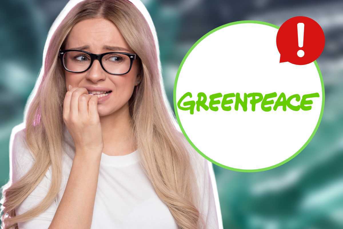 greenpeace allarme plastica riciclata tossica