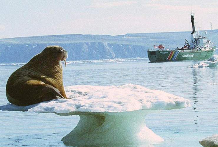 Il fenomeno dello scioglimento dei ghiacciai nell'Artico