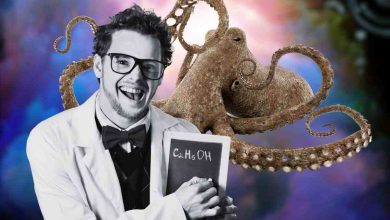 un polpo che sogna