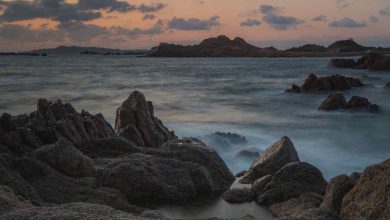 I divieti della Spiaggia Rosa di Buddelli alla Maddalena non rispettati da molti turisti