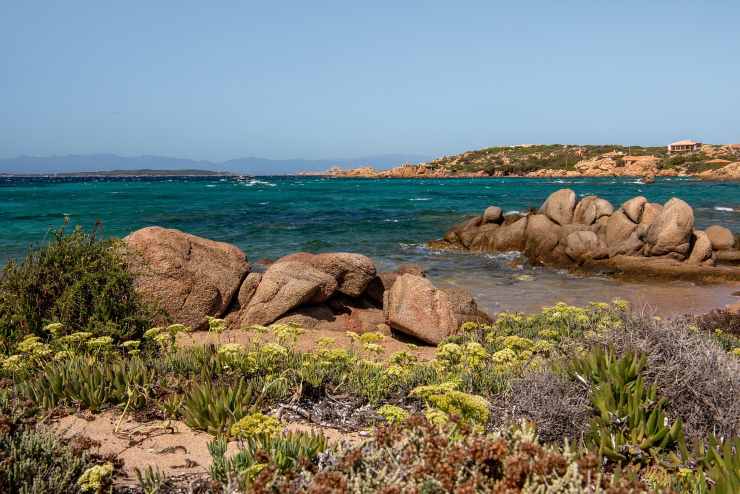 Allarme in Spiaggia Rosa di Buddelli: i divieti per la tutela dell'area non rispettati da molti turisti