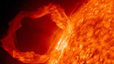 Brillamento solare potentissimo registrato dalla NASA: ecco le conseguenze sul pianeta Terra