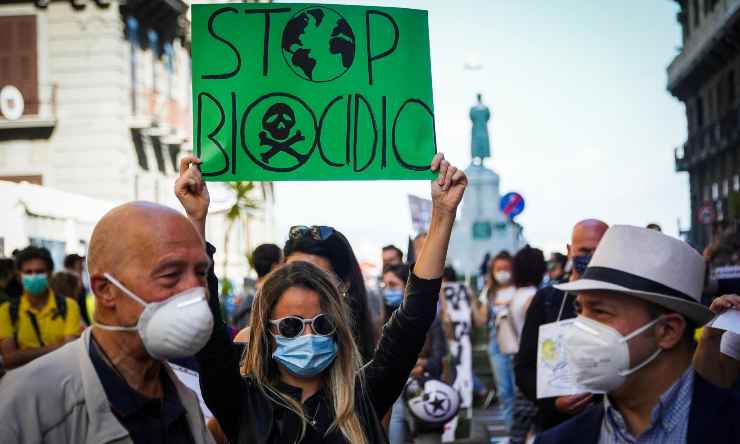 Porro ecologisti mutande