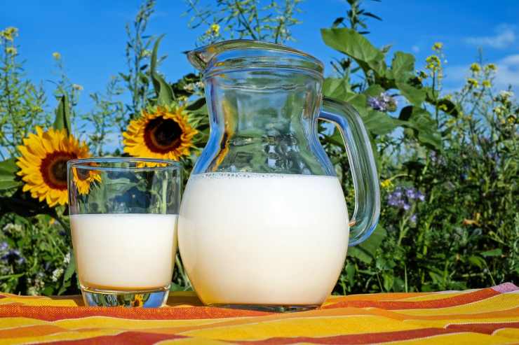 Dangers of drinking raw milk