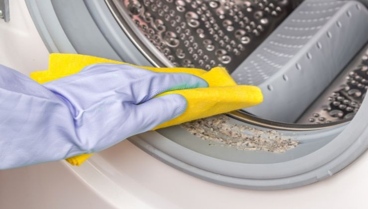 Lavatrice sempre pulita con queste soluzioni