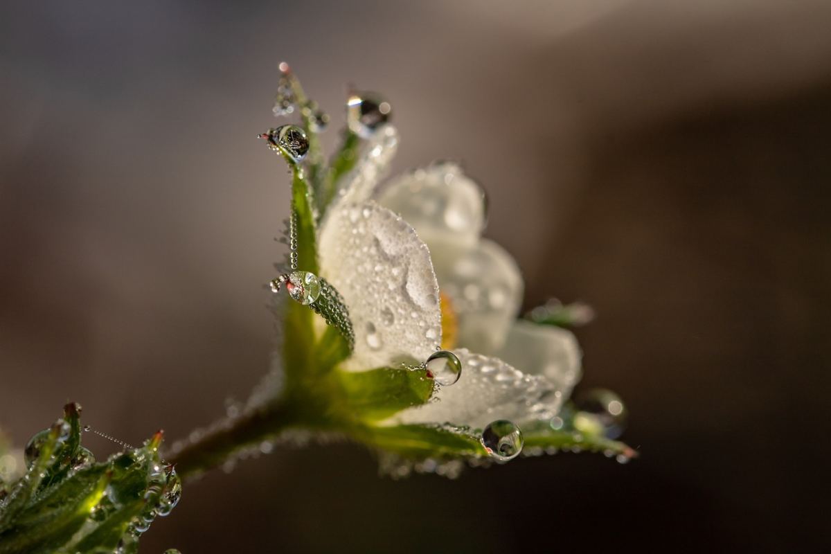 Meraviglie naturali nella Valle della Caccia