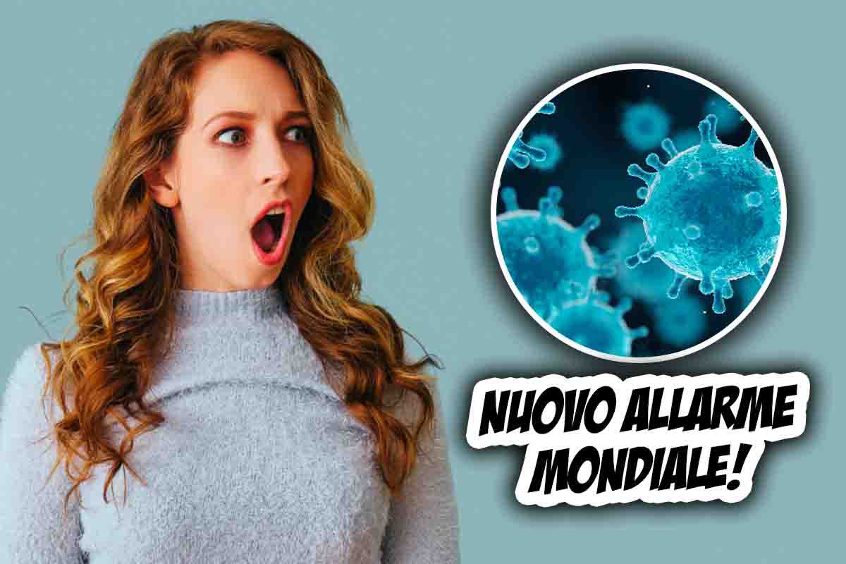 allarme nuovi virus scioglimento ghiacciai