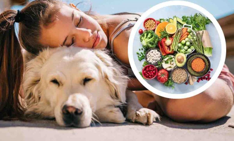 bambini convivenza animali domestici riduce rischio aiutano allergie alimentari