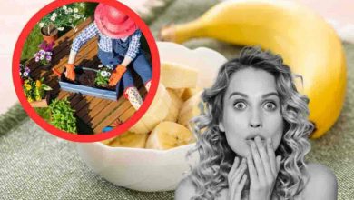 Come la banane possono aiutare il nostro giardino