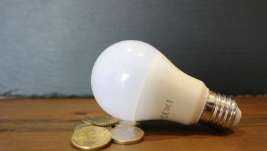 tutti i dettagli sul bonus luce e gas