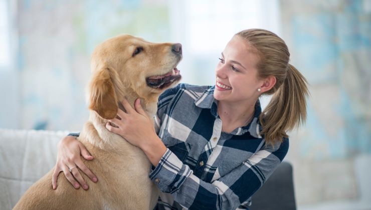 labrador salvato dai binari del treno in arrivo: la storia