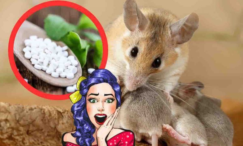 esperimento aspartame ai topi